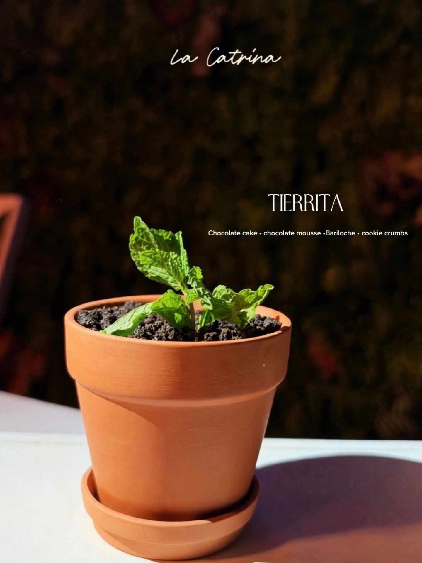 Tierrita — chocolate cake with cookie crumbs at La Catrina